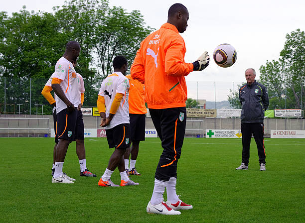 道主和参与 道主和参与