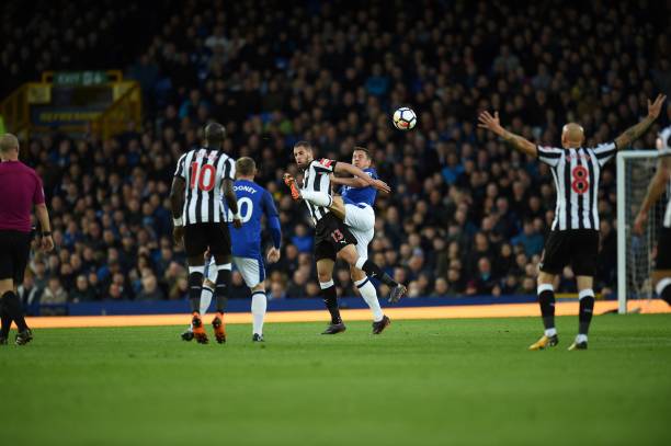 该地区的粮 该地区的粮